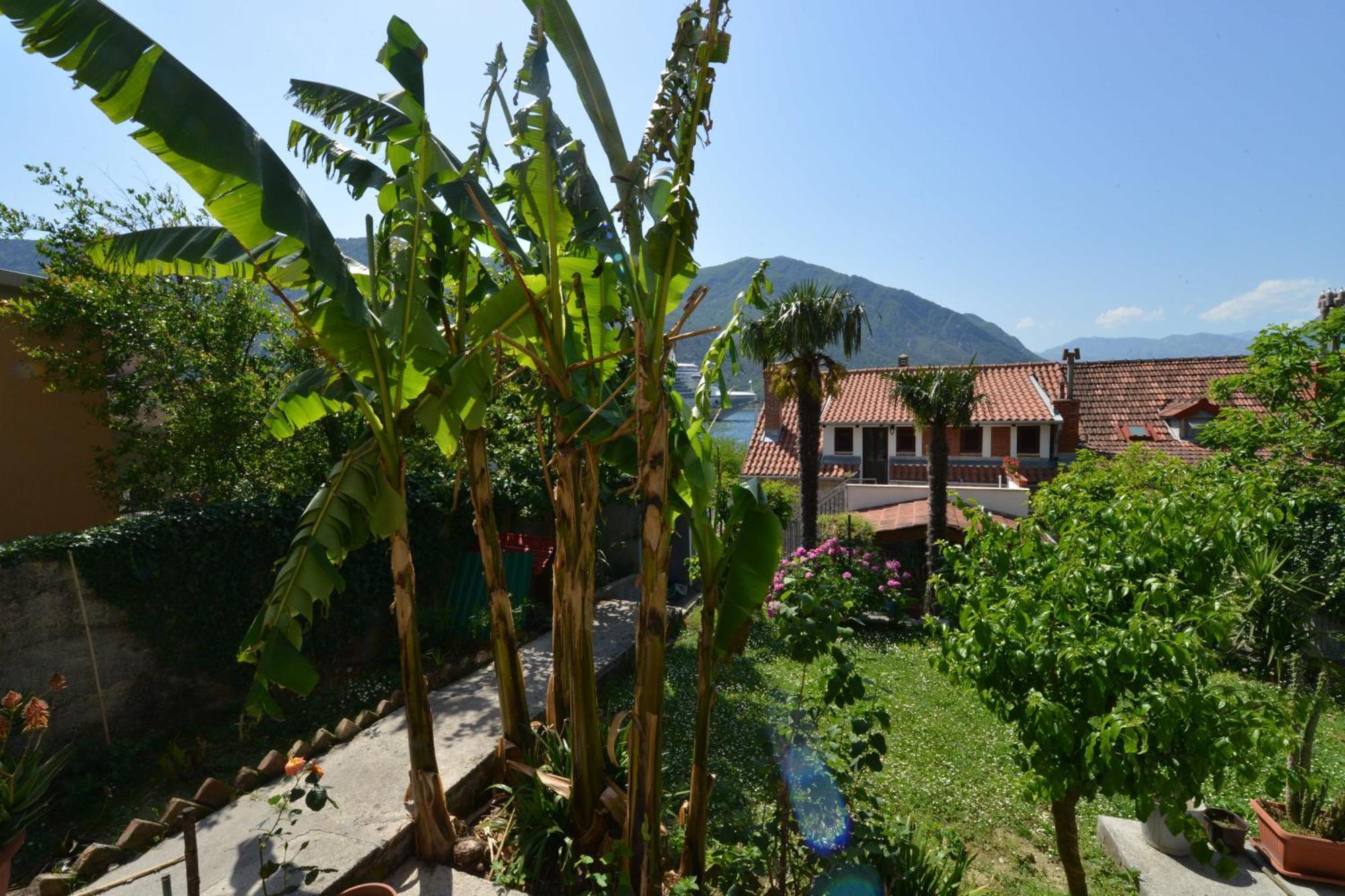 Apartments Popovic 2 Kotor Bilik gambar